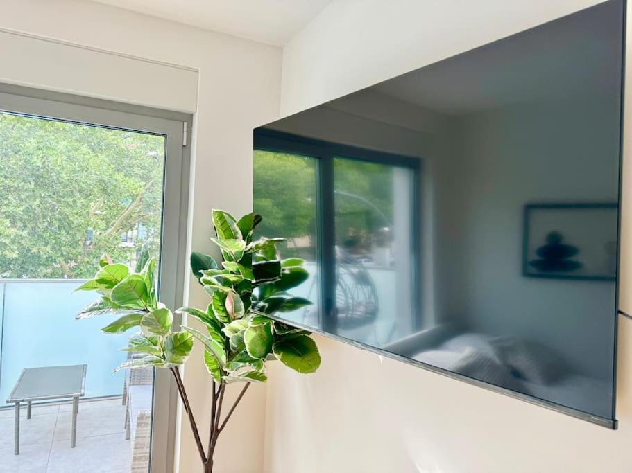 Rooftop Apartment With Balcony & Free Parking Вена Экстерьер фото